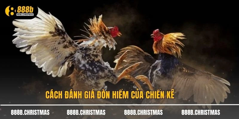 Cách đánh giá đòn hiểm của chiến kê