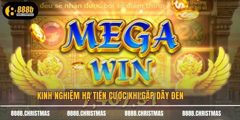 Kinh nghiệm hạ tiền cược khi gặp dây đen