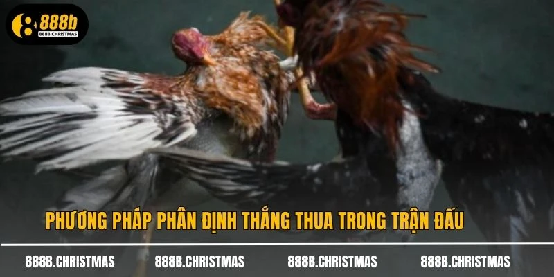 Phương pháp phân định thắng thua trong trận đấu