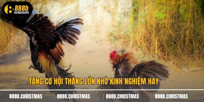 Tăng cơ hội thắng lớn nhờ kinh nghiệm hay