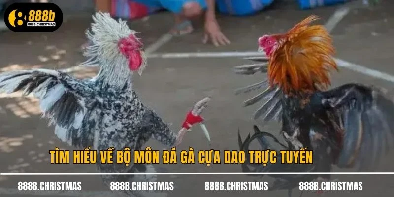 Tìm hiểu về bộ môn đá gà cựa dao trực tuyến