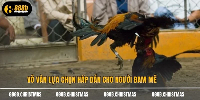 Vô vàn lựa chọn hấp dẫn cho người đam mê